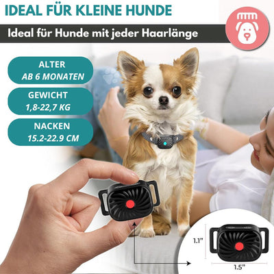 Antibellhalsband für kleine Hunde | Effektive und sichere Lösung gegen Bellen