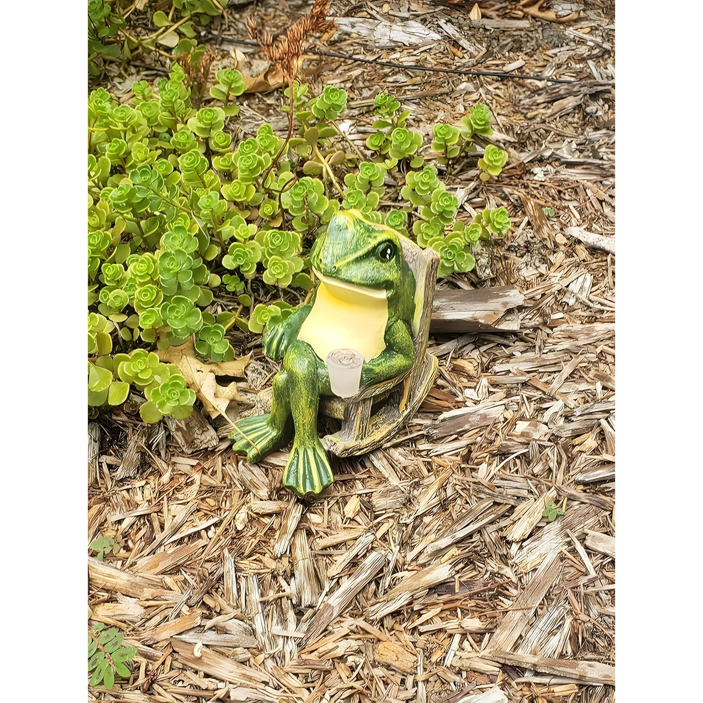 FrogGlow Light - Dekorative Garten Frosch-Solarleuchte