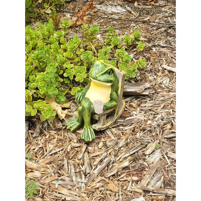 FrogGlow Light - Dekorative Garten Frosch-Solarleuchte