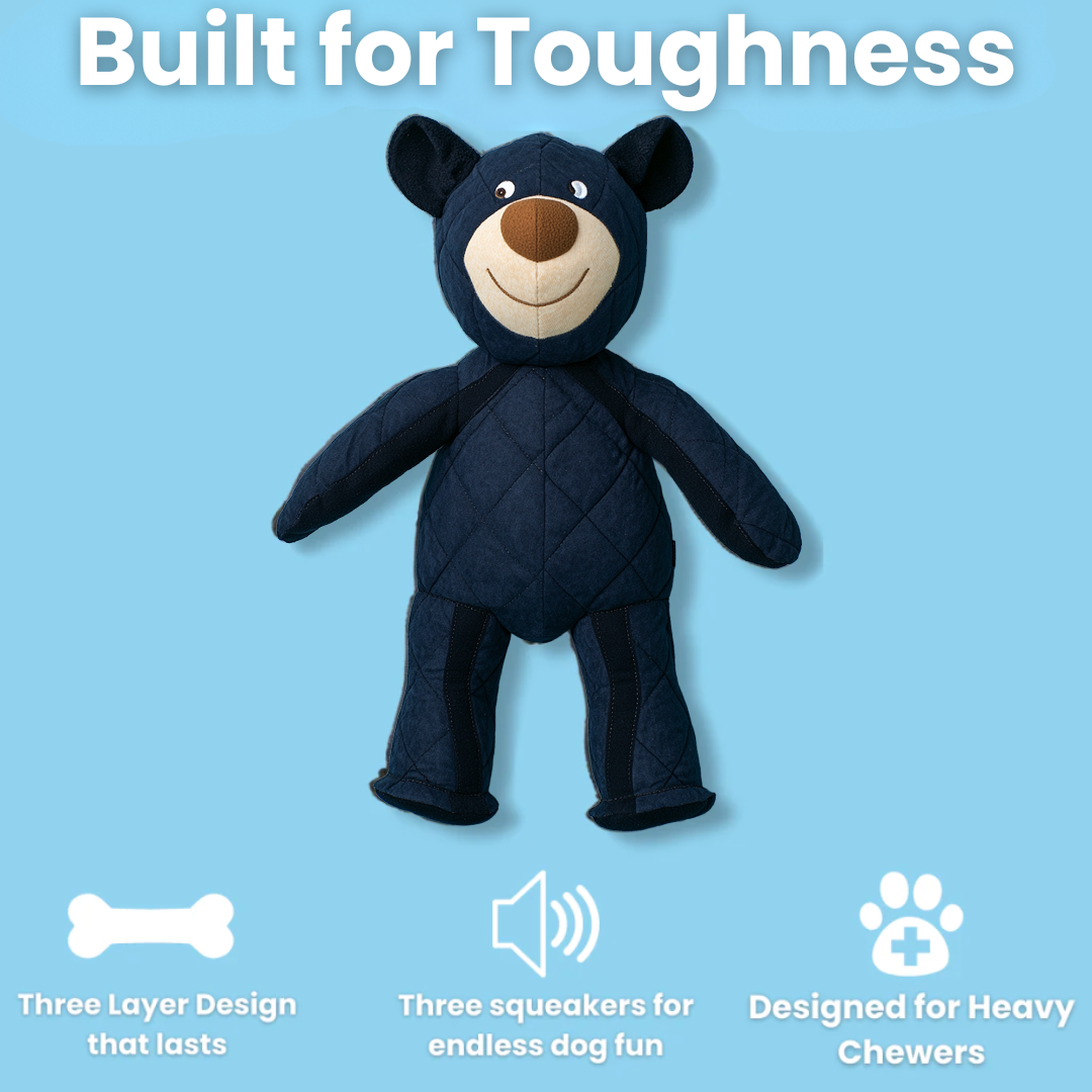 Bearschen | Unzerstörbarer Spielkamerad für starke Kauer