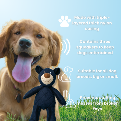 Bearschen | Unzerstörbarer Spielkamerad für starke Kauer