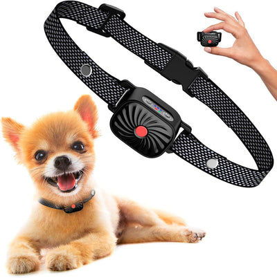 Antibellhalsband für kleine Hunde | Effektive und sichere Lösung gegen Bellen