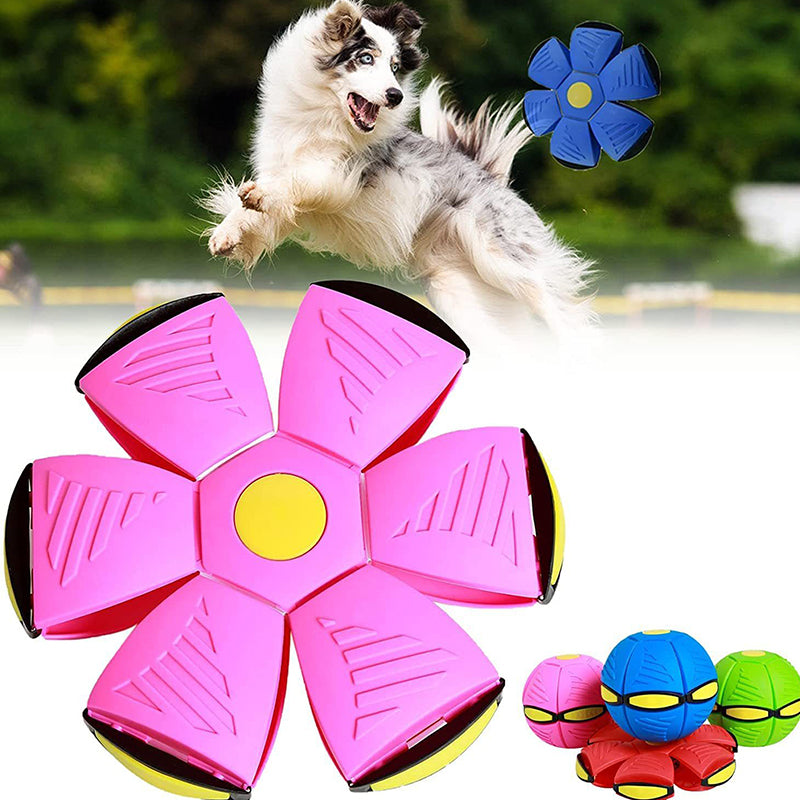 AeroBall Spaß | Multifunktionaler Luftball für Frisbee-Action und Hundespiel