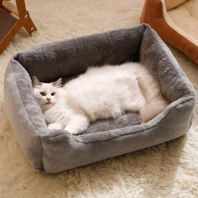 Trauminsel Katzenbett | Ultimativer Komfort für Ihre Katze mit modernem Design und Sicherheit