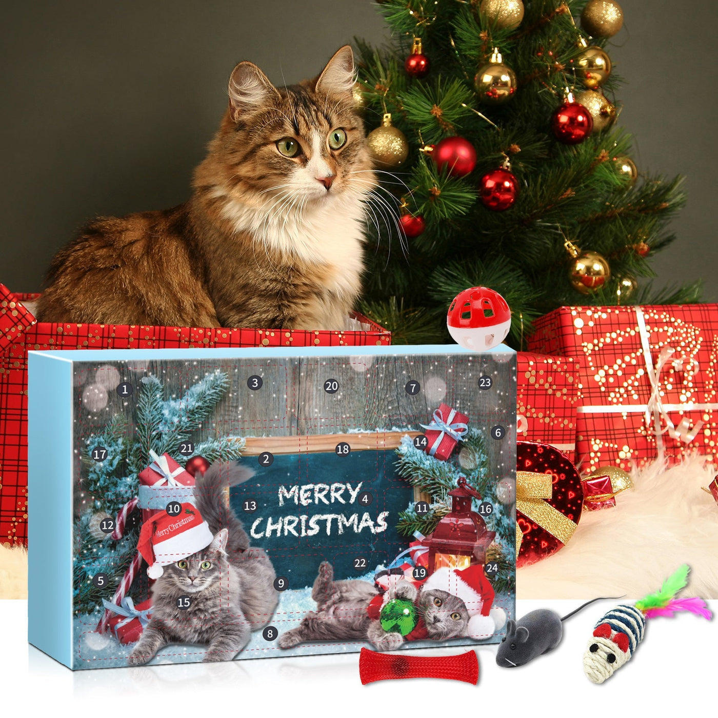 Katzenfreude | Adventskalender mit 24 interaktiven Spielzeugen für glückliche Katzen