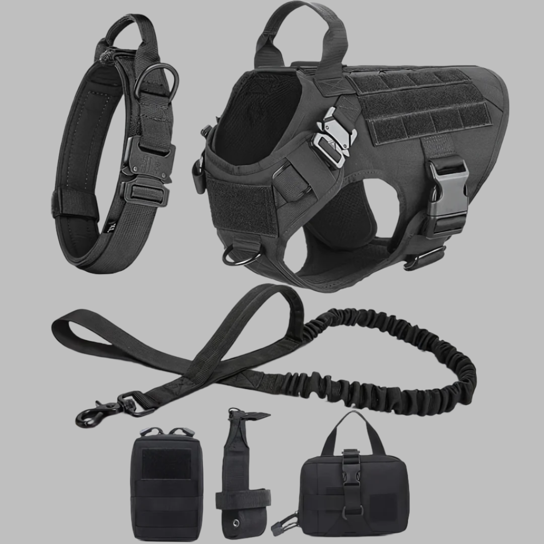 Rex 6-in-1 Hunde-Geschirr- und Leinen-Set | Professionelles Spazier- und Trainingsset für Ihren Hund