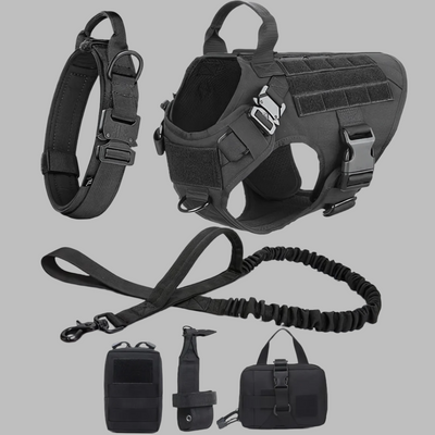 Rex 6-in-1 Hunde-Geschirr- und Leinen-Set | Professionelles Spazier- und Trainingsset für Ihren Hund