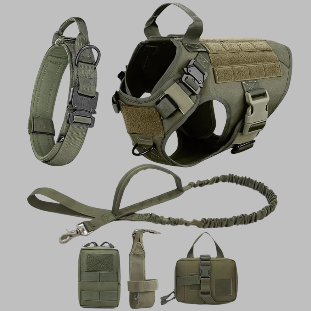 Rex 6-in-1 Hunde-Geschirr- und Leinen-Set | Professionelles Spazier- und Trainingsset für Ihren Hund