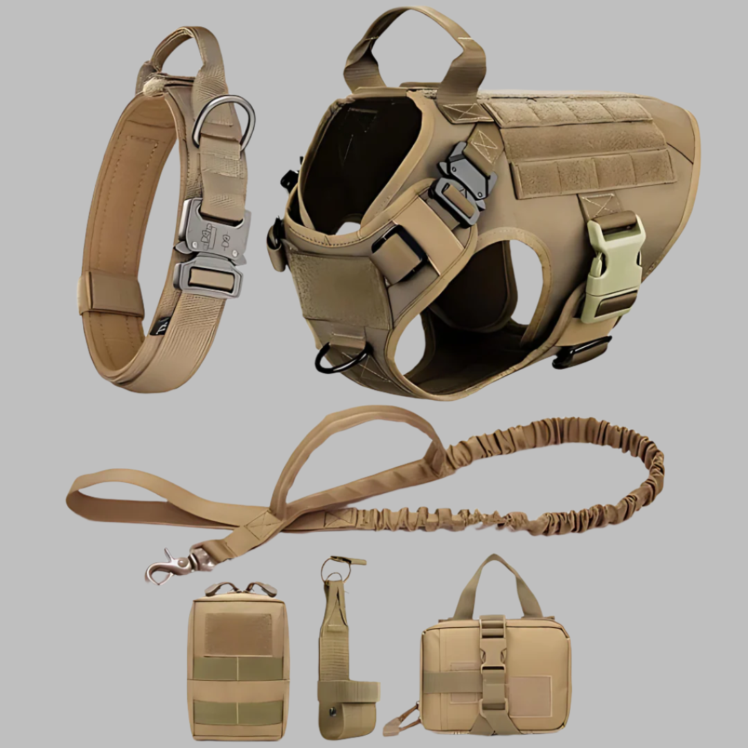 Rex 6-in-1 Hunde-Geschirr- und Leinen-Set | Professionelles Spazier- und Trainingsset für Ihren Hund