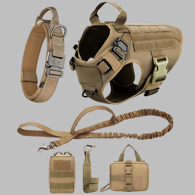 Rex 6-in-1 Hunde-Geschirr- und Leinen-Set | Professionelles Spazier- und Trainingsset für Ihren Hund