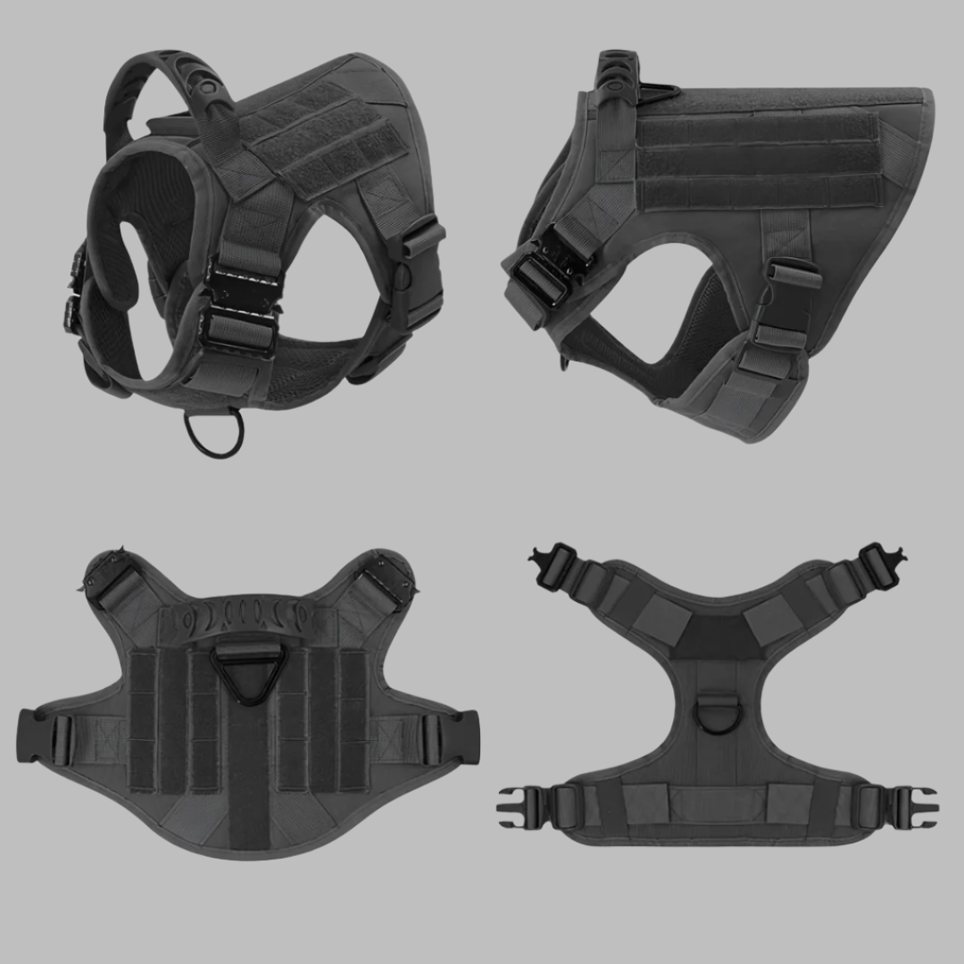 Rex 6-in-1 Hunde-Geschirr- und Leinen-Set | Professionelles Spazier- und Trainingsset für Ihren Hund