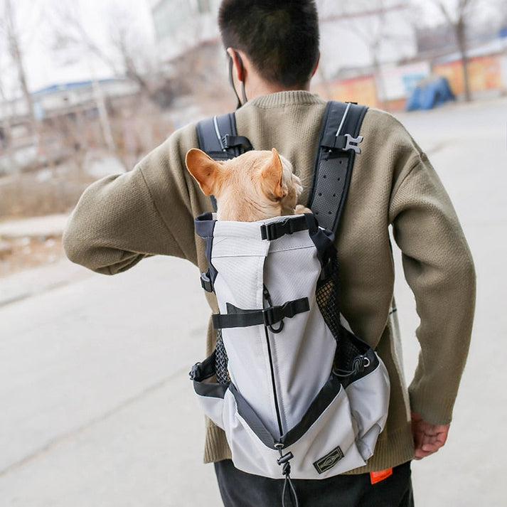 Travel Puppy Hunderrucksack | Geräumiger und Bequemer Rucksack für Mittelgroße Hunde