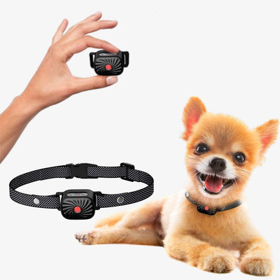 Antibellhalsband für kleine Hunde | Effektive und sichere Lösung gegen Bellen