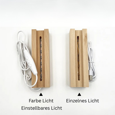 Periodensystem mit echten Elementen – Dekoratives Acryl-Display