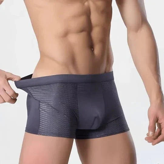 ActiveCool Boxershorts für Herren - Atmungsaktive Kühlende Unterhosen (5-Pack)