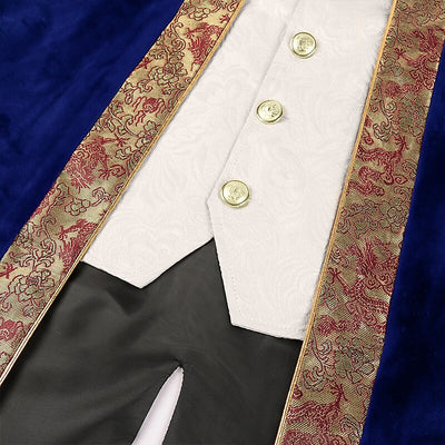 Men's Punk & Gothic Embroidered Tailcoat