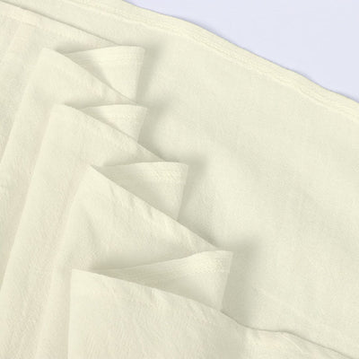 Renaissance Fairy Costume with ACCs