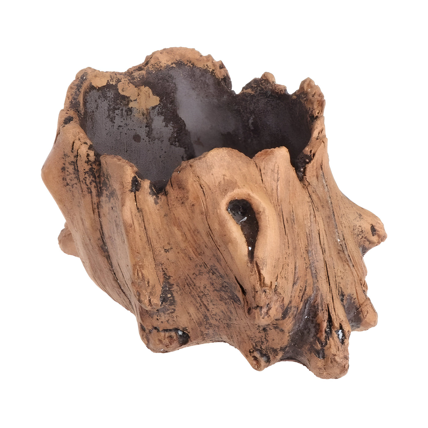 BloomCrest Topf - Sukkulenten Bonsai Dekorationspflanzer