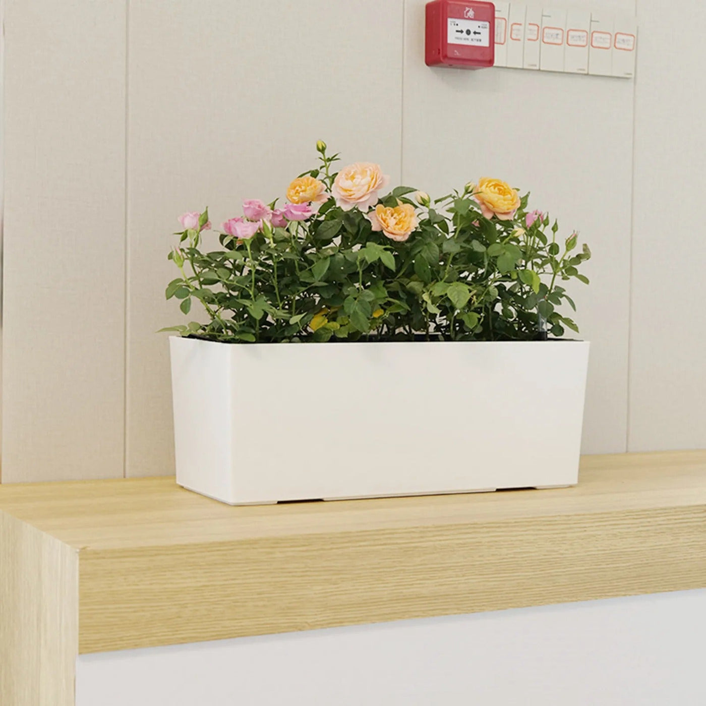 PureVase Pot – Selbstbewässernder Blumentopf mit Wasserstandsanzeige
