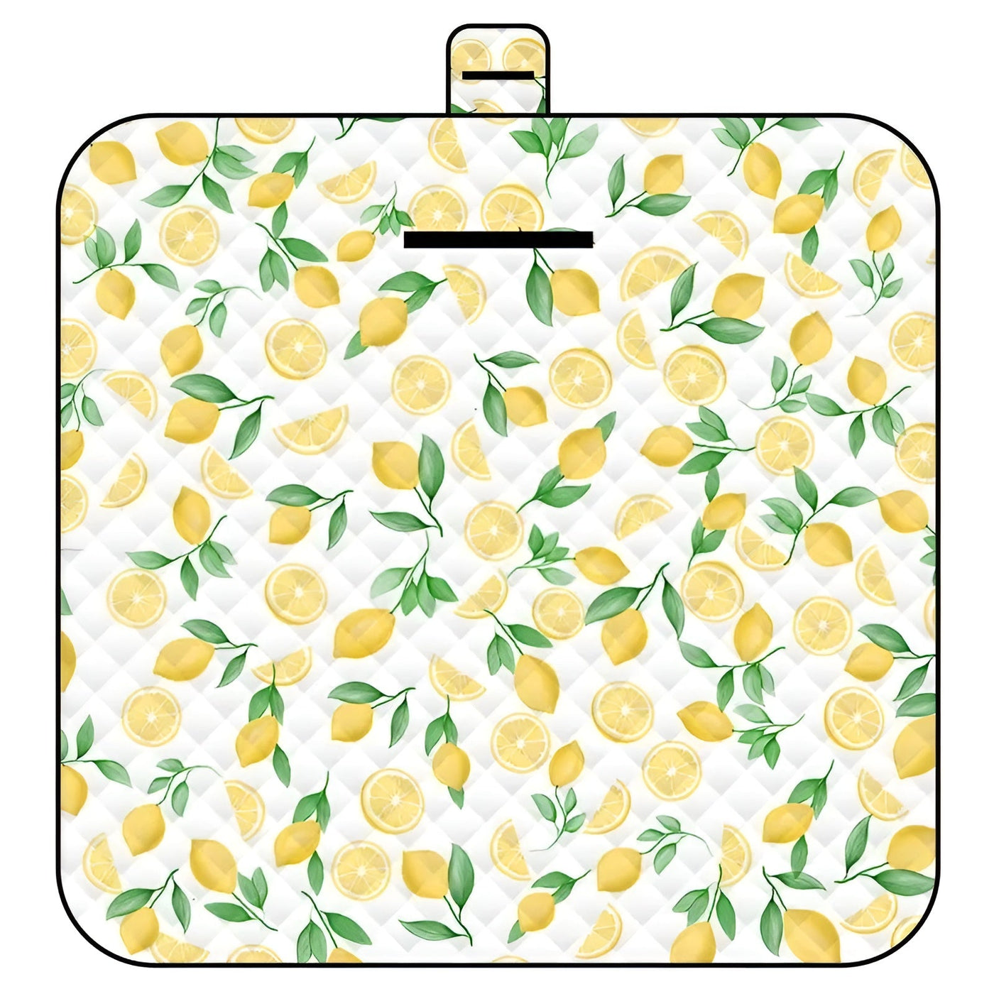 Faltbare Baby-Spielmatte – Wasserfest und Gepolstert | Ideal für Strand & Picknick