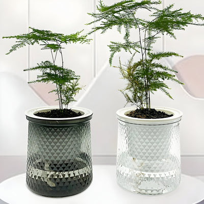 HyggeSprout Topf – Hydroponischer Kristall-Glas-Blumentopf