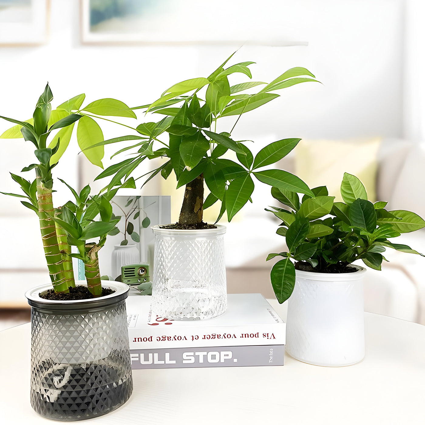 HyggeSprout Topf – Hydroponischer Kristall-Glas-Blumentopf