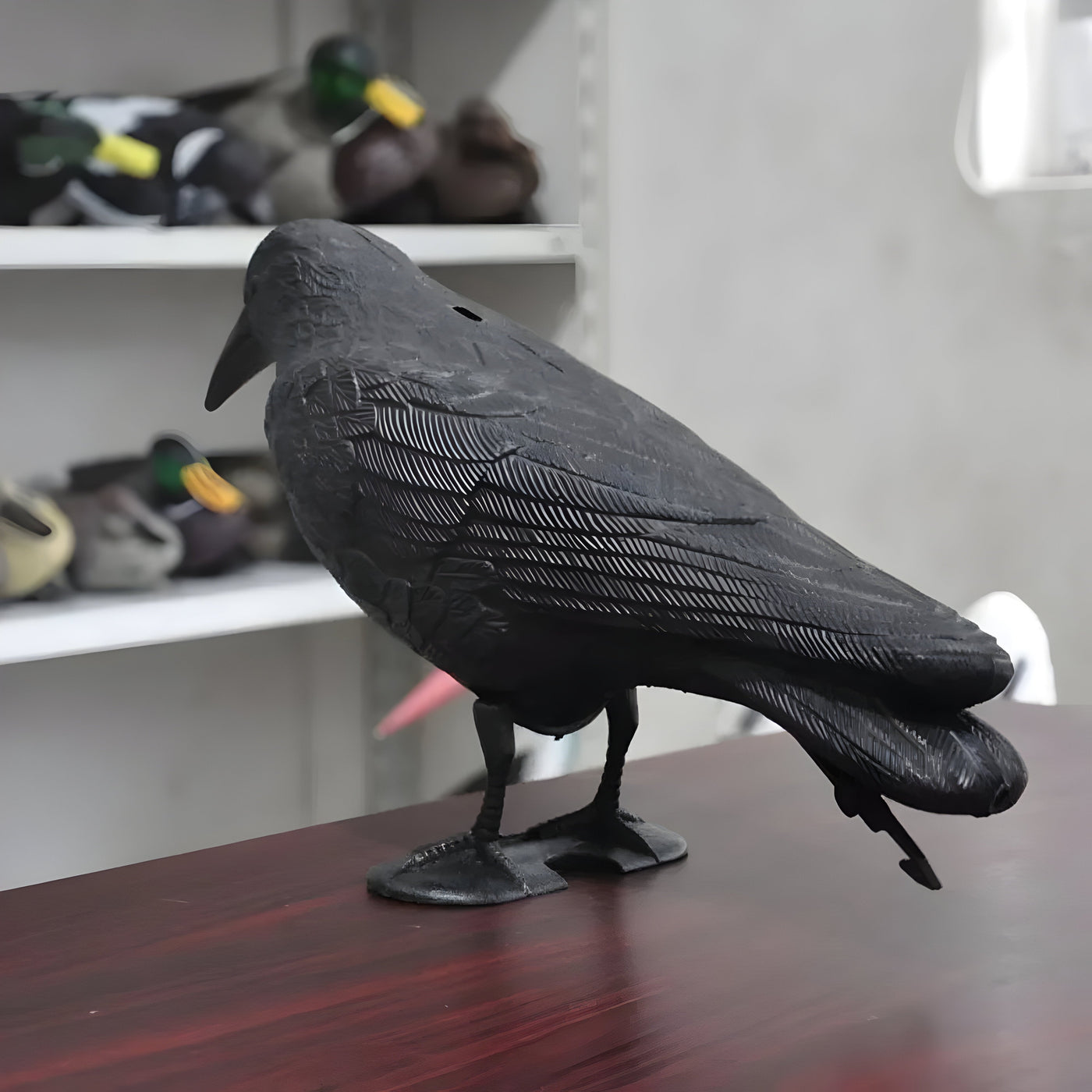 CrowHawk Decoration - Dekorative Schwarze Krähe Schädlingsabwehr