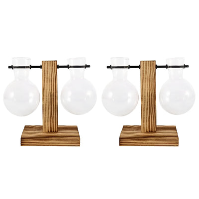 GlassHaven Vase – Hydroponisches Glasgefäß mit Holzständer